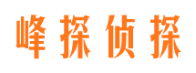 武平峰探私家侦探公司